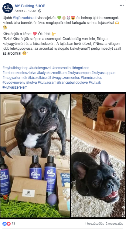 Social Steps marketing ügynökség Szeged - 7 Facebook poszt ötlet